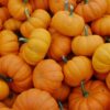 Pumpkin (1kg)